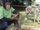 Charly und die Zebrafrau