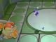 Toad's Boss Blitz