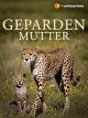 Gepardenmutter