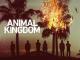 Animal Kingdom: Staffel 1
