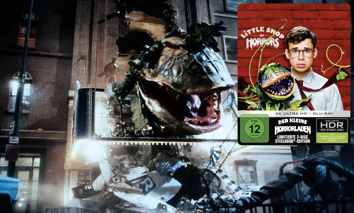 Der kleine Horrorladen 4K SB